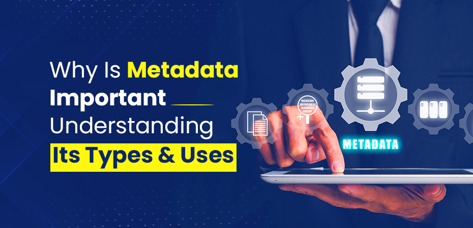 metadata-type-uses